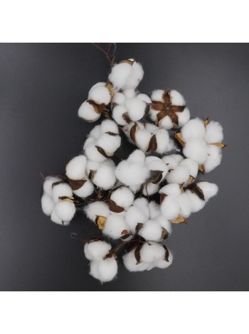 Хлопок коробочка натуральный цвет белый HS-29-28