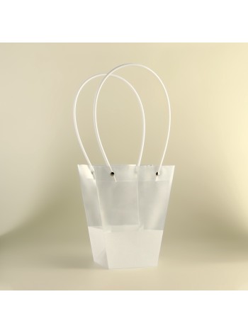 Сумка прозрачная 20 х17 х10 см трапеция цвет белый