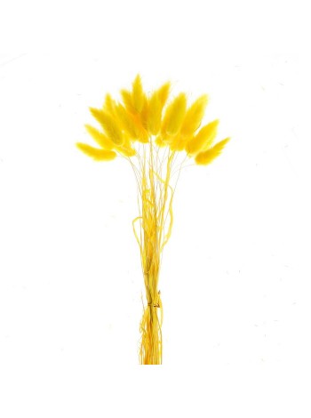 Лагурус набор 30 шт цвет желтый сухие цветы