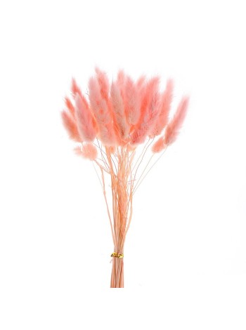 Лагурус набор 30 шт цвет розовый сухие цветы