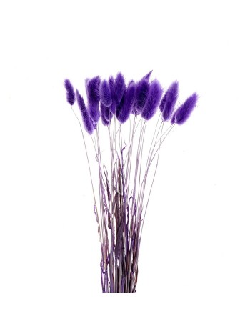Лагурус набор 30 шт цвет фиолетовый сухие цветы