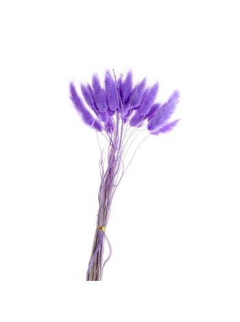 Лагурус набор 30 шт цвет светло-фиолетовый сухие цветы