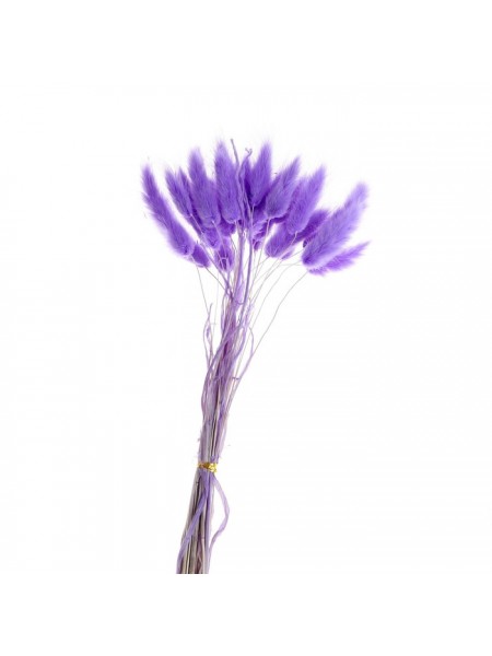 Лагурус набор 30 шт цвет светло-фиолетовый сухие цветы