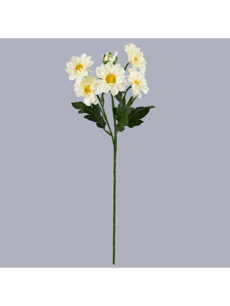 Хризантема кустовая 60 см цвет кремовый