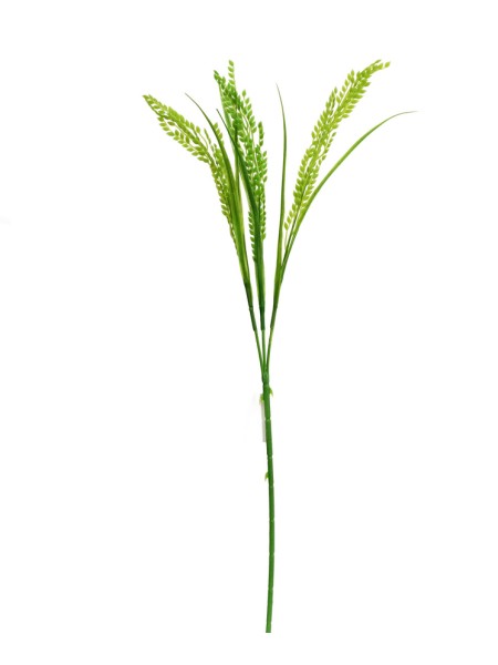 Пшеница ветка 63 см пластик цвет зеленый HS-64-47