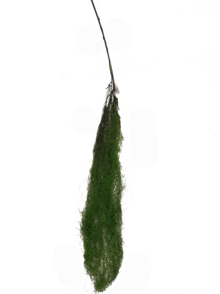 Лиановидный мох 120 см цвет зеленый HS-64-65