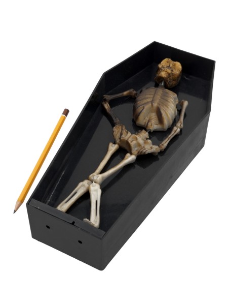 Скелет в гробу 34 х14 см светомузыкальный пластик Хэллоуин HS-4-19