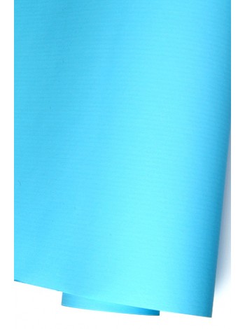 Бумага крафт 100 см х10 м 11/50 дольче однотонный цвет голубой