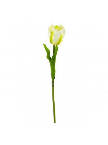 Тюльпан 41 см цвет белый KLP0150/P146-3
