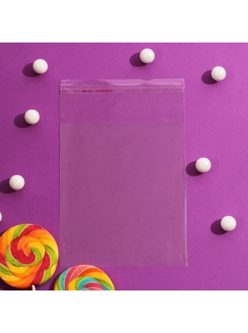 Пакет прозрачный 12 х14/4 см 1/100 со скотчем полипропилен