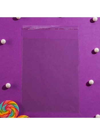 Пакет прозрачный 17 х22/4 см 1/100 со скотчем полипропилен