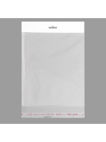 Пакет прозрачный 16 х18/4 см 1/100 со скотчем европодвес полипропилен