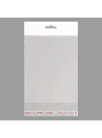 Пакет прозрачный 14 х18/4 см 1/100 со скотчем европодвес полипропилен