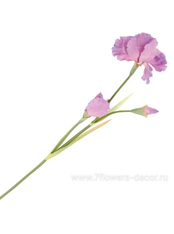 Ирис 80 см цветок искусственный цвет пурпурный