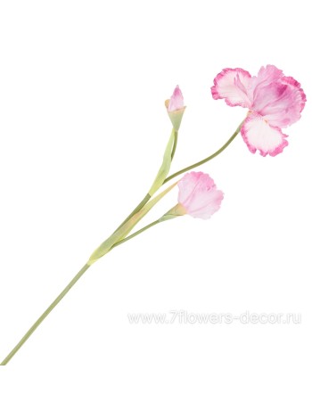 Ирис 80 см цветок искусственный цвет розовый