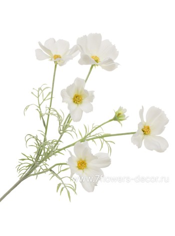 Космея 60 см цветок искусственный  цвет кремовый