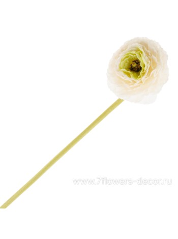 Ранункулюс 66 см цветок искусственный цвет белый