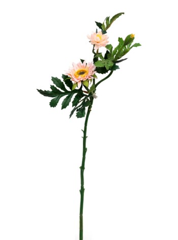 Хризантема ветка в асорт.