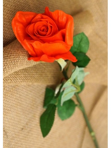 Роза цветок 75 см цвет красный