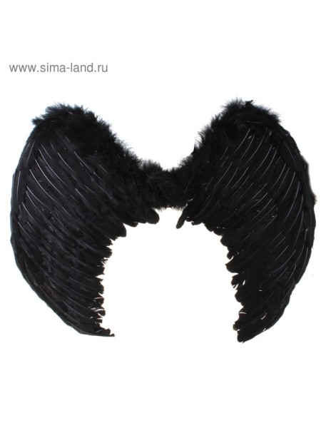 Крылья Ангела 60 х 80 см цвет черный
