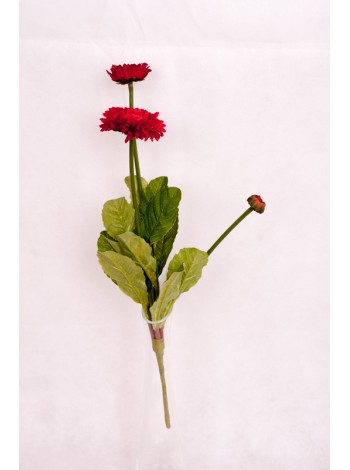 Ноготки бордовые 38 см