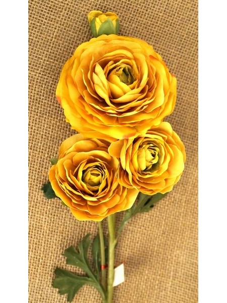 Роза пионовидная 3 цветка цвет шафрановый 64см