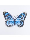 Бабочка на магните 17 х13 см 3D пластик цвет МИКС  HS-18-18