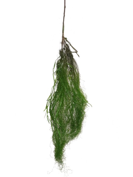 Лиановидный мох 105 см цвет зеленый HS-64-64