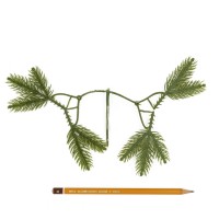 Веточка еловая 4 лапки 8 см цена за 1 шт HS-21-1