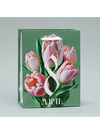 Пакет ламинированный 12 х15 х5,5 см Тюльпаны