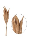 Кортадерия 64 см цвет микс HS-6-16 пампасная трава