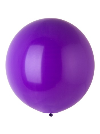 Э24"/163 Стандарт Purple упаковка 1 шт Everts