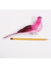 Птичка на зажиме цветная с черными крыльями 19 см цвет микс HS-18-7