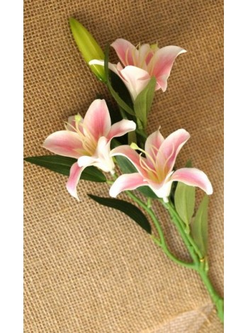 Лилия бело-розовая 3 цветка мелкая 58 см