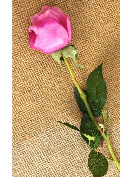 Роза бутон фиолетовая 54 см
