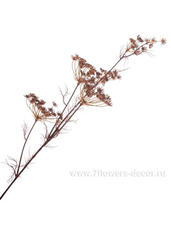 Укроп 122 см ветка искусственная цвет коричневый Арт KS8-113-2