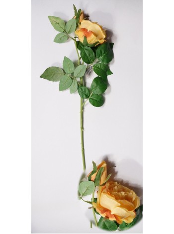 Роза Остина английская с бутоном 72 см цвет персиковый HS-26-3