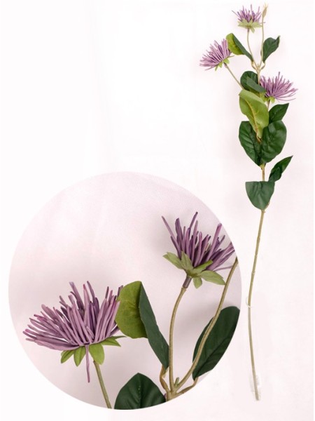 Хризантема цвет фиолетовый 82см
