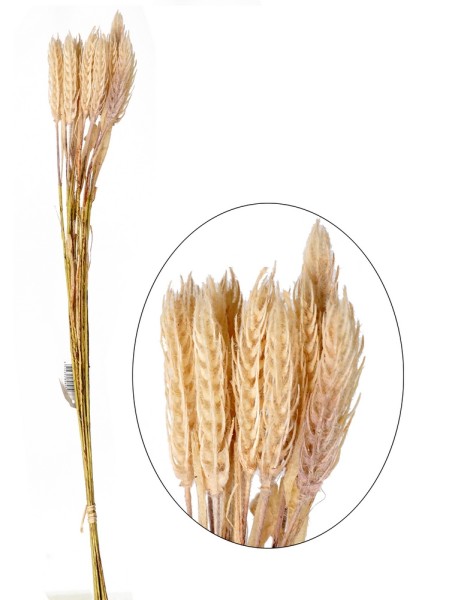 Колосья пшеницы 58 см цвет бежевый HS-6-28