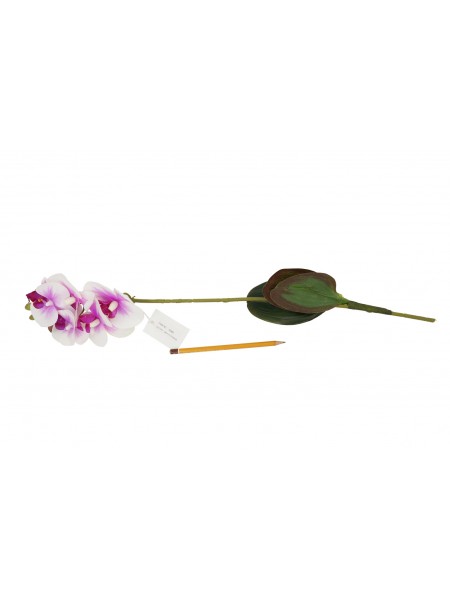 Орхидея 66 см цвет белый/фиолетовый  арт 70993Б/Ф