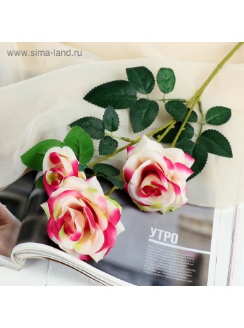 Роза тройная 61 см d-6 см цвет бело-розовый