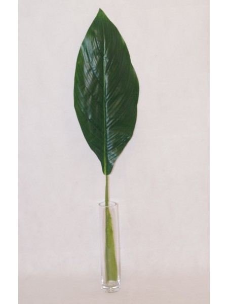 Пальма финиковая лист 75 см