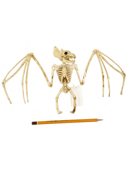 Скелет летучей мыши 29 х 17 см пластик Хэллоуин HS-4-16, 1-1