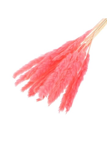 Камыш сухоцветы набор 15 шт цвет нежно-розовый