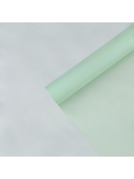 Пленка тишью влагостойкая 0,6 х 8 мм 30 мкм цвет Мята