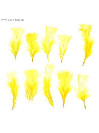 Набор перьев для декора 10 шт размер 1 шт 10 х 4 см  цвет Желтый