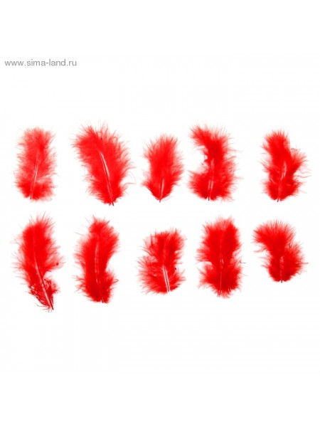Набор перьев для декора 10 шт размер 1 шт 10 х 2 см  цвет Красный
