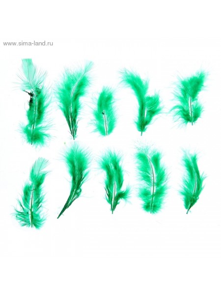Набор перьев для декора 10 шт размер 1 шт 10 х 2 см  цвет Зеленый