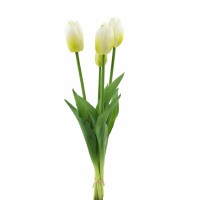Тюльпан 47 см букет из  цветков  цвет белый  HS 31-3