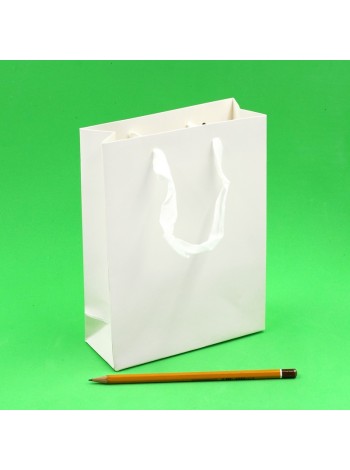 Пакет ламинированный 15 х20 х6 см однотонный цвет белый HS-8-10